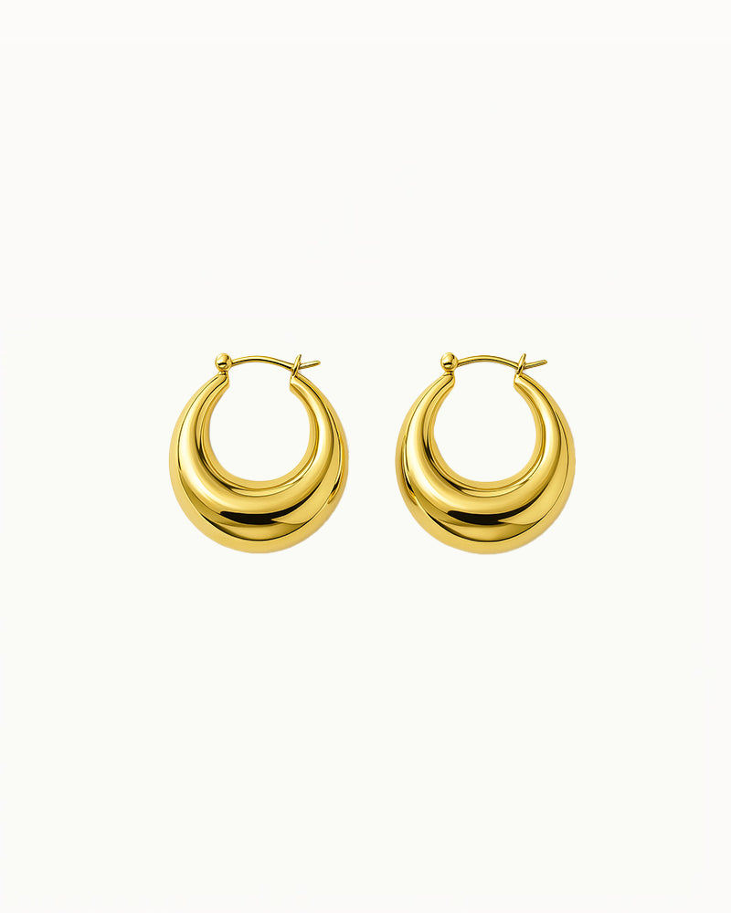 Golden Elegant Earrings - Coco