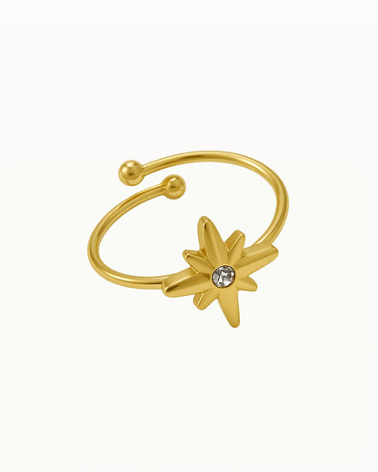 Ring met Ster en Diamant - Gina - R54