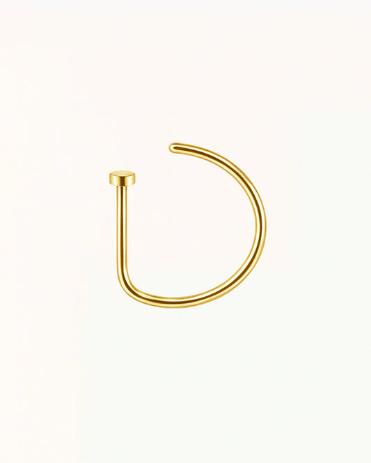 Minimalist Nose Piercing - Jillian